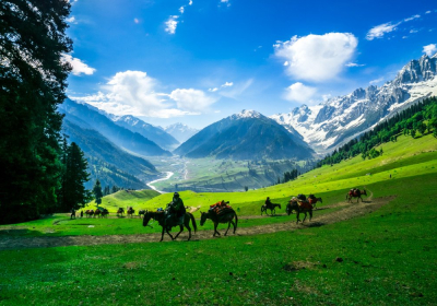 Amritsar to Srinagar 7 Days Tour Package